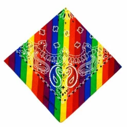 Bandana, Rainbow Paisley