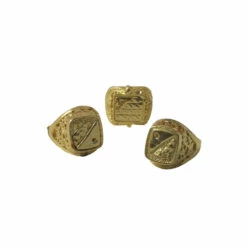 Smiffys Assorted Gold Rings