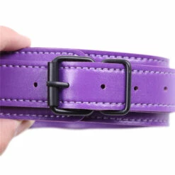 Collar With Clamps, Purple -Smiffys Shop 3432171447 1557592402 f1ef897c12