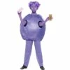 Smiffys Roald Dahl Violet Beauregarde Costume -Smiffys Shop 41542 3ec44a3975