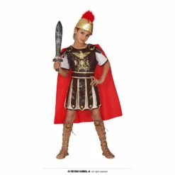 Gladiator Costume