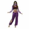 Smiffys Arabian Princess Costume -Smiffys Shop arabian princess costume purple 2000x cd7b68bce5