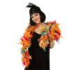 Feather Boa, Multicoloured -Smiffys Shop st0826 509 5c8c58934c